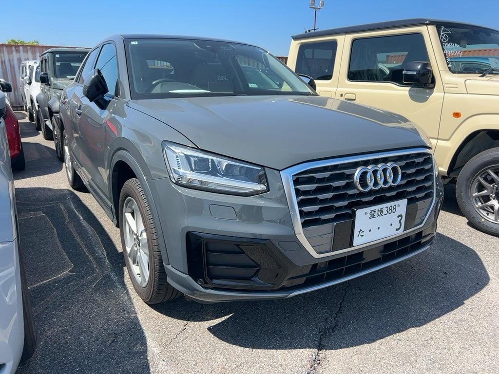 Audi Q2 Dark Grey (With Sunroof)