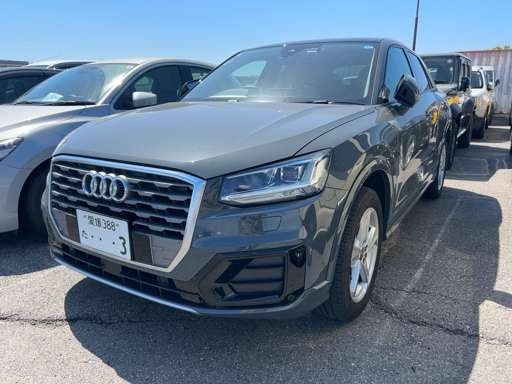 Audi Q2 Dark Grey (With Sunroof)